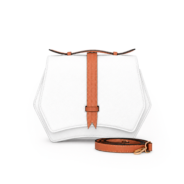 Geometric Structured Satchel